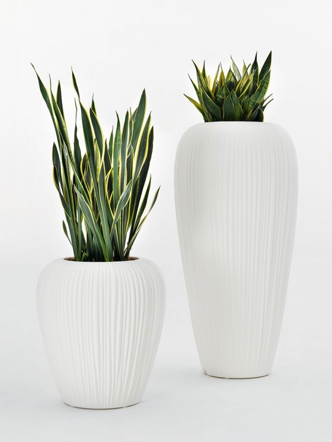 SKIN POT S