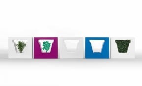 NON VASO